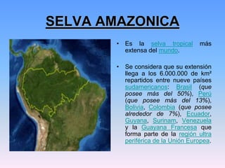SELVA AMAZONICA
• Es la selva tropical más
extensa del mundo.
• Se considera que su extensión
llega a los 6.000.000 de km²
repartidos entre nueve países
sudamericanos: Brasil (que
posee más del 50%), Perú
(que posee más del 13%),
Bolivia, Colombia (que posee
alrededor de 7%), Ecuador,
Guyana, Surinam, Venezuela
y la Guayana Francesa que
forma parte de la región ultra
periférica de la Unión Europea.
 