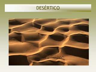 DESÉRTICO
 