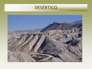 DESÉRTICO
 