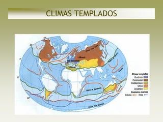 CLIMAS TEMPLADOS
 