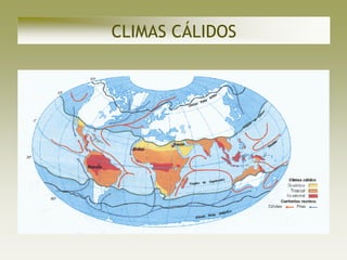 CLIMAS CÁLIDOS
 