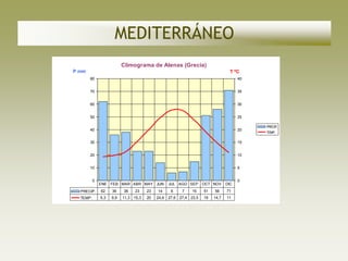 MEDITERRÁNEO
                          Climograma de Atenas (Grecia)
P mm                                                                             T ºC
       80                                                                            40


       70                                                                            35


       60                                                                            30


       50                                                                            25

                                                                                          PRECIP.
       40                                                                            20
                                                                                          TEMP.


       30                                                                            15


       20                                                                            10


       10                                                                            5


          0                                                                          0
              ENE FEB MAR ABR MAY JUN             JUL AGO SEP      OCT NOV     DIC
  PRECIP.     62    36    38    23    23   14      6    7    15    51   56     71
  TEMP.       9,3   9,9   11,3 15,3   20   24,6   27,6 27,4 23,5   19   14,7   11
 