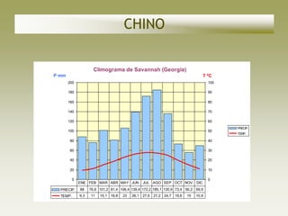 CHINO

                      Climograma de Savannah (Georgia)
P mm                                                                              T ºC
       200                                                                          100

       180                                                                          90

       160                                                                          80

       140                                                                          70

       120                                                                          60
                                                                                          PRECIP.
       100                                                                          50
                                                                                          TEMP.

       80                                                                           40

       60                                                                           30

       40                                                                           20

       20                                                                           10

          0                                                                         0
              ENE FEB MAR ABR MAY JUN           JUL AGO SEP OCT NOV         DIC
  PRECIP.     88    76,6 101,2 81,4 106,4 139,4 172,2 185,1 135,9 73,4 56,2 69,9
  TEMP.       9,3   11   15,1 18,8   23   26,1 27,6 27,2 24,7 19,6     15   10,9
 