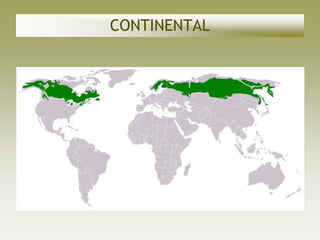 CONTINENTAL
 