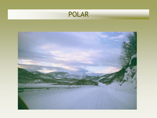 POLAR
 
