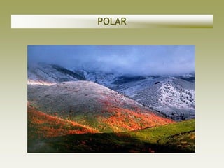 POLAR
 