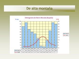 De alta montaña

                     Climograma de Sierra Nevada (España)
P mm                                                                                   T ºC
       100                                                                                  45

       90                                                                                   40

       80                                                                                   35

       70                                                                                   30

       60                                                                                   25
                                                                                                 PRECIP.
       50                                                                                   20
                                                                                                 TEMP.

       40                                                                                   15

       30                                                                                   10

       20                                                                                   5

       10                                                                                   0

          0                                                                                 -5
              ENE FEB MAR ABR MAY JUN                 JUL AGO SEP        OCT NOV     DIC
  PRECIP.     81     95,4   69,5 59,8     53,4 35,7   6,8   4,7   28,3   64,7 95,3   89,6
  TEMP.       -2,2   -2,8   -2,5   -0,1   3,7   9,9   15,3 15,8 10,6     3,8   1,1    -1
 