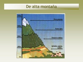 De alta montaña
 