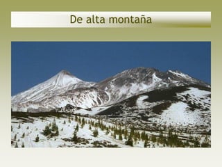 De alta montaña
 