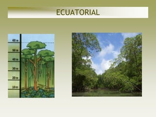 ECUATORIAL
 