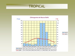 TROPICAL

                          Climograma de Nueva Delhi
P mm                                                                             T ºC
       220                                                                         110

       200                                                                         100

       180                                                                         90

       160                                                                         80

       140                                                                         70

       120                                                                         60    PRECIP.
                                                                                         TEMP.
       100                                                                         50

       80                                                                          40

       60                                                                          30

       40                                                                          20

       20                                                                          10

          0                                                                        0
              ENE FEB MAR ABR MAY JUN         JUL AGO SEP OCT NOV          DIC
  PRECIP. 22,7 20,1 14,5 10,1      15   67,9 200,4 200,3 122,5 18,5    3    10
  TEMP.       14,1 16,9 22,4 28,6 32,9 33,8   31   29,8 29,2    26    20,3 15,4
 