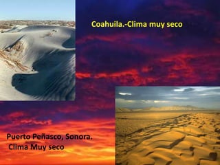 Coahuila.-Clima muy seco




Puerto Peñasco, Sonora.
Clima Muy seco
 