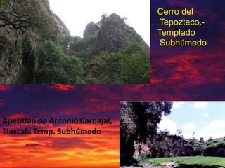 Cerro del
                                  Tepozteco.-
                                 Templado
                                  Subhúmedo




Apetitlan de Antonio Carbajal,
Tlaxcala Temp. Subhúmedo
 