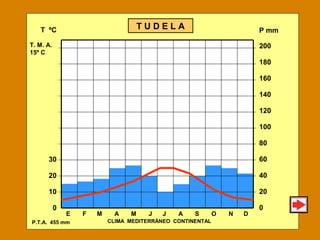 E F M A M J J A S O N D
200
180
160
140
120
100
80
60
40
20
0
T ºC
30
20
10
0
P mmT U D E L A
P.T.A. 455 mm
T. M. A.
15º C
CLIMA MEDITERRÁNEO CONTINENTAL
 