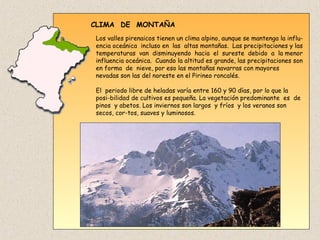 CLIMA DE MONTAÑA
Los valles pirenaicos tienen un clima alpino, aunque se mantenga la influ-
encia oceánica incluso en las altas montañas. Las precipitaciones y las
temperaturas van disminuyendo hacia el sureste debido a la menor
influencia oceánica. Cuando la altitud es grande, las precipitaciones son
en forma de nieve, por eso las montañas navarras con mayores
nevadas son las del noreste en el Pirineo roncalés.
El periodo libre de heladas varía entre 160 y 90 días, por lo que la
posi-bilidad de cultivos es pequeña. La vegetación predominante es de
pinos y abetos. Los inviernos son largos y fríos y los veranos son
secos, cor-tos, suaves y luminosos.
 