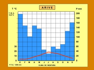 E F M A M J J A S O N D
200
180
160
140
120
100
80
60
40
20
0
T ºC
30
20
10
0
P mmA R I V E
CLIMA DE MONTAÑAP.T.A. 1268 mm
T. M. A.
10,5º C
 