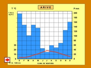 E F M A M J J A S O N D
200
180
160
140
120
100
80
60
40
20
0
T ºC
30
20
10
0
P mmA R I V E
P.T.A. 1268 mm
T. M. A.
10,5º C
CLIMA DE MONTAÑA
 