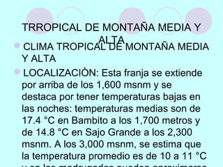 TRROPICAL DE MONTAÑA MEDIA Y
ALTA
CLIMA TROPICAL DE MONTAÑA MEDIA
Y ALTA
LOCALIZACIÒN: Esta franja se extiende
por arriba de los 1,600 msnm y se
destaca por tener temperaturas bajas en
las noches: temperaturas medias son de
17.4 °C en Bambito a los 1,700 metros y
de 14.8 °C en Sajo Grande a los 2,300
msnm. A los 3,000 msnm, se estima que
la temperatura promedio es de 10 a 11 °C
 