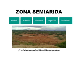 ZONA SEMIARIDA
Precipitaciones de 250 a 500 mm anuales.
 