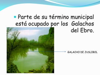  Parte de su término municipal
 está ocupado por los Galachos
                      del Ebro.


                    GALACHO DE JUSLIBOL
 