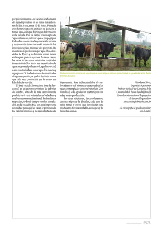 por pocos minutos. Los vacunos se abastecen
del líquido precioso en las horas más calien-
tes del día, o sea, entre 10-15 horas. Fuera de
esos horarios pocos animales se deciden a
tomar agua, aunque dispongan de bebedero
en la parcela. Por tal razón, el concepto de
“agua en todos los potreros” que se propagó por
Colombia es una cabal equivocación técnica
y un aumento innecesario del monto de las
inversiones para montaje del proyecto. Es
manifiesta la preferencia por agua tibia, alre-
dedor de 27oC, y los bovinos toman mejor
en tanques que en represas. En raros casos,
las vacas lecheras en ambientes tropicales
tienen satisfechas todas sus necesidades de
agua; en general padecen sed, aguda o parcial,
o son constreñidas a tomar agua fría o sucia y
repugnante. Si todas tomaran las cantidades       El abastecimiento correcto de agua limpia es esencial para obtener productividad en ganado de leche. Santo
de agua requerida, se podría decir sin temor      Domingo, Ecuador.
que cada vaca produciría por lo menos un
kilo de leche por día.                            hipertermia. Son indescriptibles el con-                                             Humberto Sório,
     El área social (abrevadero, área de des-     fort térmico y el bienestar que prueban las                                      Ingeniero Agrónomo
canso) es un potrero provisto de árboles          vacas contempladas con este beneficio. Con                        Profesor jubilado de Zootecnia de la
de sombra, situado lo más centralmente            humildad, se lo agradecen y retribuyen con                       Universidad de Passo Fundo (Brasil)
posible, en el cual se instalan un bebedero y     más y mejor producción.                                          Consultor internacional de proyectos
una batea con mezcla mineral. En los climas           En otras ediciones, desarrollaremos,                                       de desarrollo ganadero
tropicales, todo el tiempo y en los templa-       con más riqueza de detalles, cada uno de                                sorio.voisin@brturbo.com.br
dos, en la estación fría, son una imperiosa       estos temas y otros que involucran una
necesidad para que las vacas se protejan de       producción bovina rentable, ecológica y de                           La bibliografía se puede consultar
los calores intensos y no sean afectadas de       bienestar animal.                                                                          con el autor.




                                                                                                                               infortamboAndina    53
 