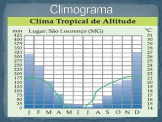 Clima SubtropicalLocaliza-se ao sul do Trópico de CapricórnioTemperaturas mais baixas do paísAs chuvas são bem distribuídas