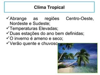Climas do brasil