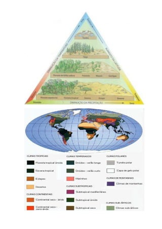 Climas do mundo