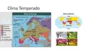 Clima Temperado
 