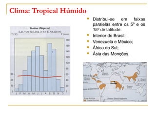 Clima: Tropical Húmido
 Distribui-se em faixas
paralelas entre os 5º e os
15º de latitude:
 Interior do Brasil;
 Venezuela e México;
 África do Sul;
 Ásia das Monções.
 