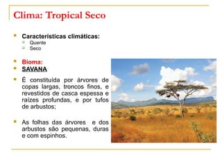 Clima: Tropical Seco
 Características climáticas:
 Quente
 Seco
 Bioma:
 SAVANA
 É constituída por árvores de
copas largas, troncos finos, e
revestidos de casca espessa e
raízes profundas, e por tufos
de arbustos;
 As folhas das árvores e dos
arbustos são pequenas, duras
e com espinhos.
 