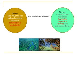 Vão determinar a existência…
Climas:
São influenciados
pelos elementos
climáticos:
temperatura e
precipitação.
Biomas:
Correspondem
às grandes
formações
vegetais e
animais que
existem na Terra.
 