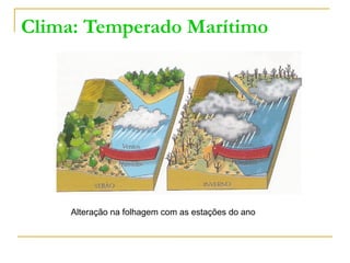 Clima: Temperado Marítimo
Alteração na folhagem com as estações do ano
 