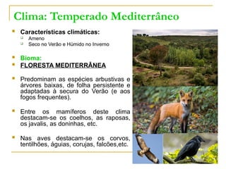 Clima: Temperado Mediterrâneo
 Características climáticas:
 Ameno
 Seco no Verão e Húmido no Inverno
 Bioma:
 FLORESTA MEDITERRÂNEA
 Predominam as espécies arbustivas e
árvores baixas, de folha persistente e
adaptadas à secura do Verão (e aos
fogos frequentes).
 Entre os mamíferos deste clima
destacam-se os coelhos, as raposas,
os javalis, as doninhas, etc.
 Nas aves destacam-se os corvos,
tentilhões, águias, corujas, falcões,etc.
 