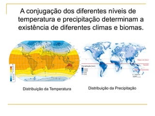 A conjugação dos diferentes níveis de
temperatura e precipitação determinam a
existência de diferentes climas e biomas.
Distribuição da Temperatura Distribuição da Precipitação
 