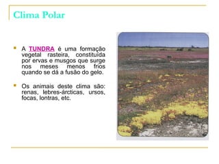 Clima Polar
 A TUNDRA é uma formação
vegetal rasteira, constituída
por ervas e musgos que surge
nos meses menos frios
quando se dá a fusão do gelo.
 Os animais deste clima são:
renas, lebres-árcticas, ursos,
focas, lontras, etc.
 