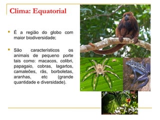 Clima: Equatorial
 É a região do globo com
maior biodiversidade;
 São característicos os
animais de pequeno porte
tais como: macacos, colibri,
papagaio, cobras, lagartos,
camaleões, rãs, borboletas,
aranhas, etc (grande
quantidade e diversidade).
 