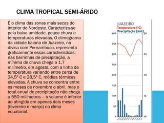CLIMA TROPICAL SEMI-ÁRIDO
É o clima das zonas mais secas do
interior do Nordeste. Caracteriza-se
pela baixa umidade, pouca chuva e
temperaturas elevadas. O climograma
da cidade baiana de Juazeiro, na
divisa com Pernambuco, representa
graficamente essas características:
nas barrinhas de precipitação, a
mínima de chuva chega a 1,7
milímetro, em agosto, com a linha de
temperatura variando entre cerca de
24,5º C e 28,5º C, médias térmicas
elevadas. A chuva se concentra entre
os meses de novembro e abril, mas o
total anual de precipitação não chega
a 550 milímetros – o volume é inferior
ao atingido em apenas dois meses
(fevereiro e março) no clima
equatorial.
 