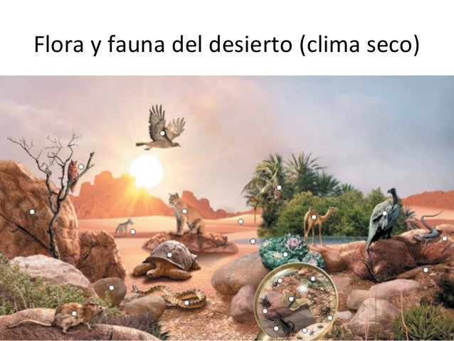 Clima Seco Cristian Word Anterior