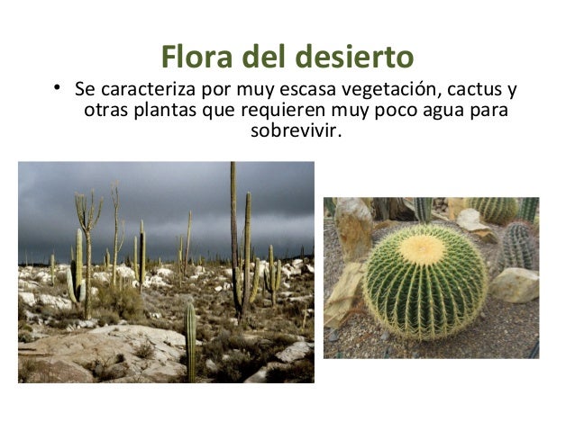Clima seco cristian word anterior