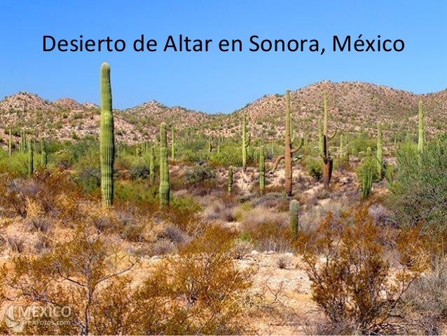 Clima seco cristian word anterior