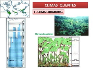 CLIMAS QUENTES
1 . CLIMA EQUATORIAL




Floresta Equatorial
 