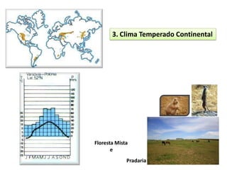 3. Clima Temperado Continental




Floresta Mista
       e
             Pradaria
 