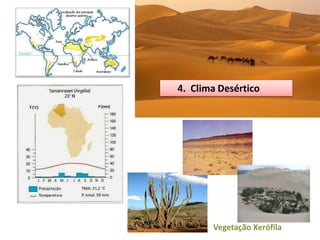 4. Clima Desértico




       Vegetação Xerófila
 