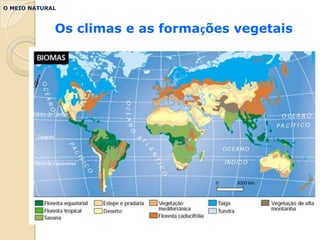 O MEIO NATURAL



             Os climas e as formações vegetais
 