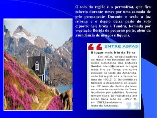 O solo da região é o permafrost, que fica
coberto durante meses por uma camada de
gelo permanente. Durante o verão a luz
retorna e o degelo deixa parte do solo
exposto. nele brota a Tundra, formada por
vegetação florida de pequeno porte, além da
abundância de musgos e liquens.
 