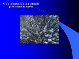 Veja a importancia de uma floresta
para o clima do mundo
 