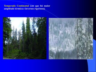 Temperado Continental (em que há maior
amplitude térmica e invernos rigorosos).
 
