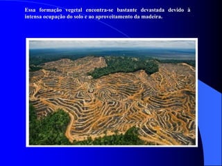 Essa formação vegetal encontra-se bastante devastada devido à
intensa ocupação do solo e ao aproveitamento da madeira.
 