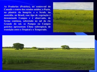 As Pradarias (Prairies), no centro-sul do
Canadá e centro dos estados unidos; a Puzta,
na planície da hungria; e o Scrub, na
austrália. no Brasil, esse tipo de vegetação é
denominado Campos e é observado, de
forma contínua, sobretudo no sul do rio
Grande do sul. os Pampas ou Campos
gaúchos apresentam Clima subtropical, de
transição entre o Tropical e o Temperado.
 